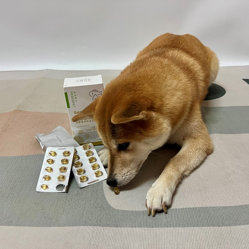 試用